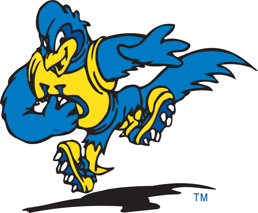 Delaware Blue Hens 1999-2009 Mascot Logo v11 DIY iron on transfer (heat transfer)